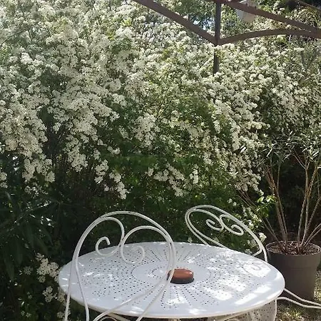 Les Oliviers Affittacamere Moustiers-Sainte-Marie